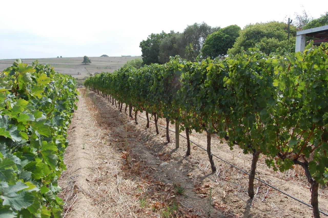 Deux Freres Wine Estate & Luxury Villas Stellenbosch Exterior photo