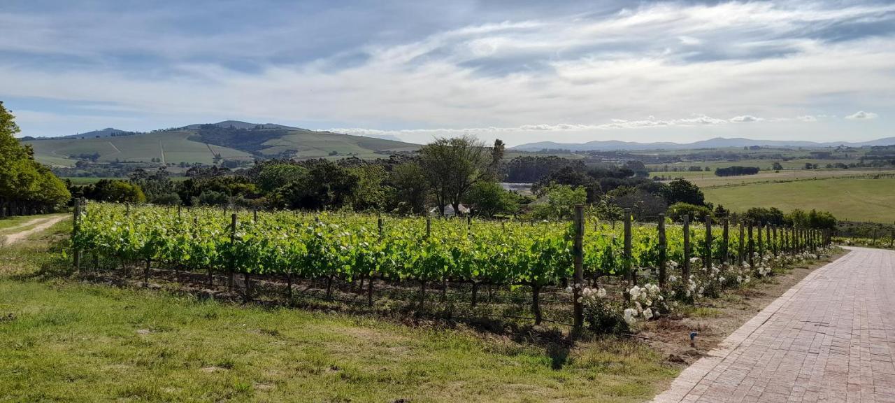 Deux Freres Wine Estate & Luxury Villas Stellenbosch Exterior photo