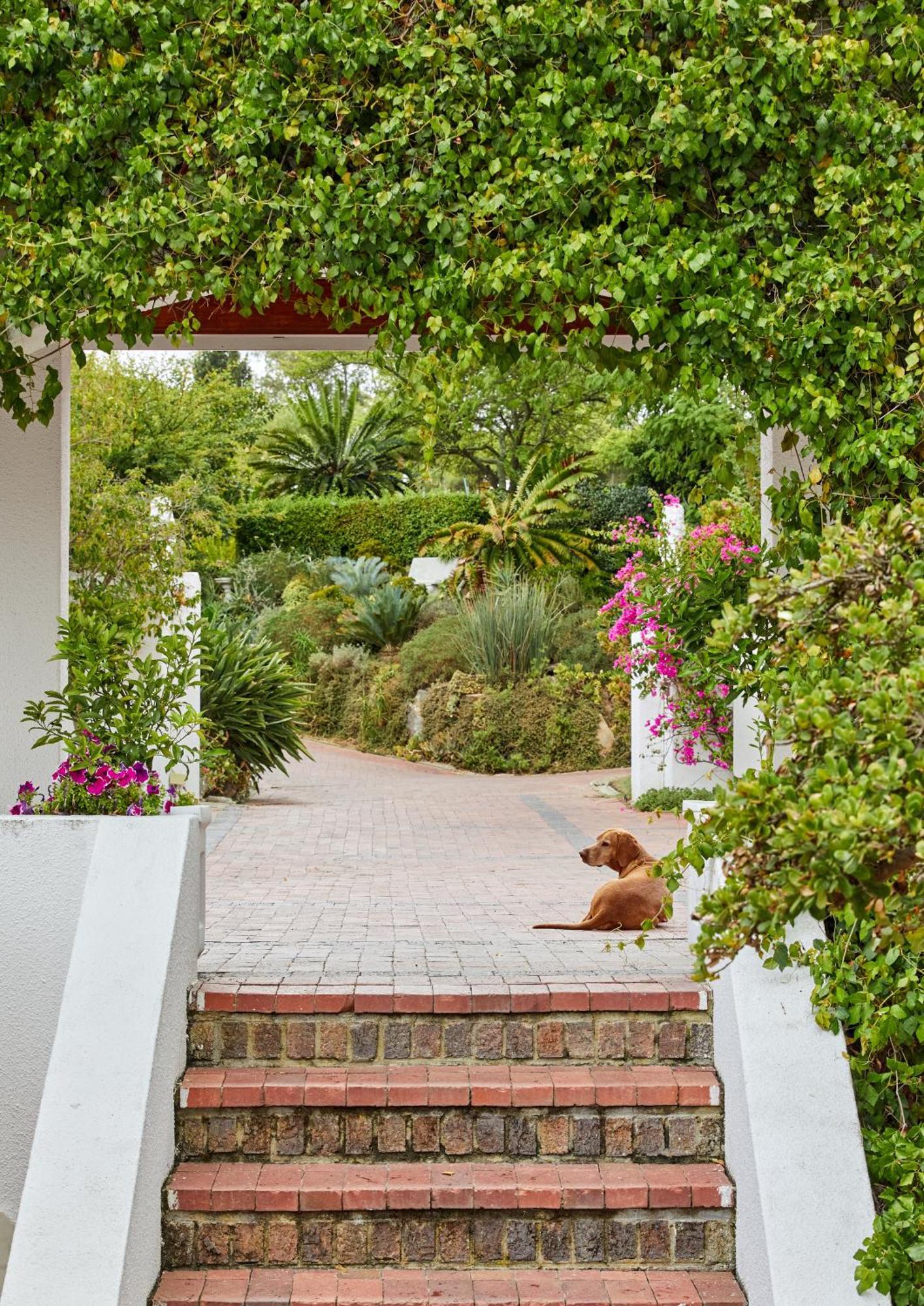 Deux Freres Wine Estate & Luxury Villas Stellenbosch Exterior photo